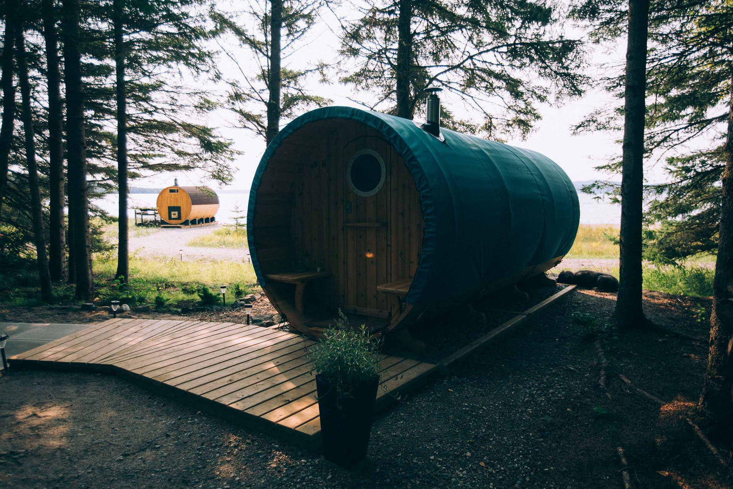 Forest Barrel (Gentle Reset)
