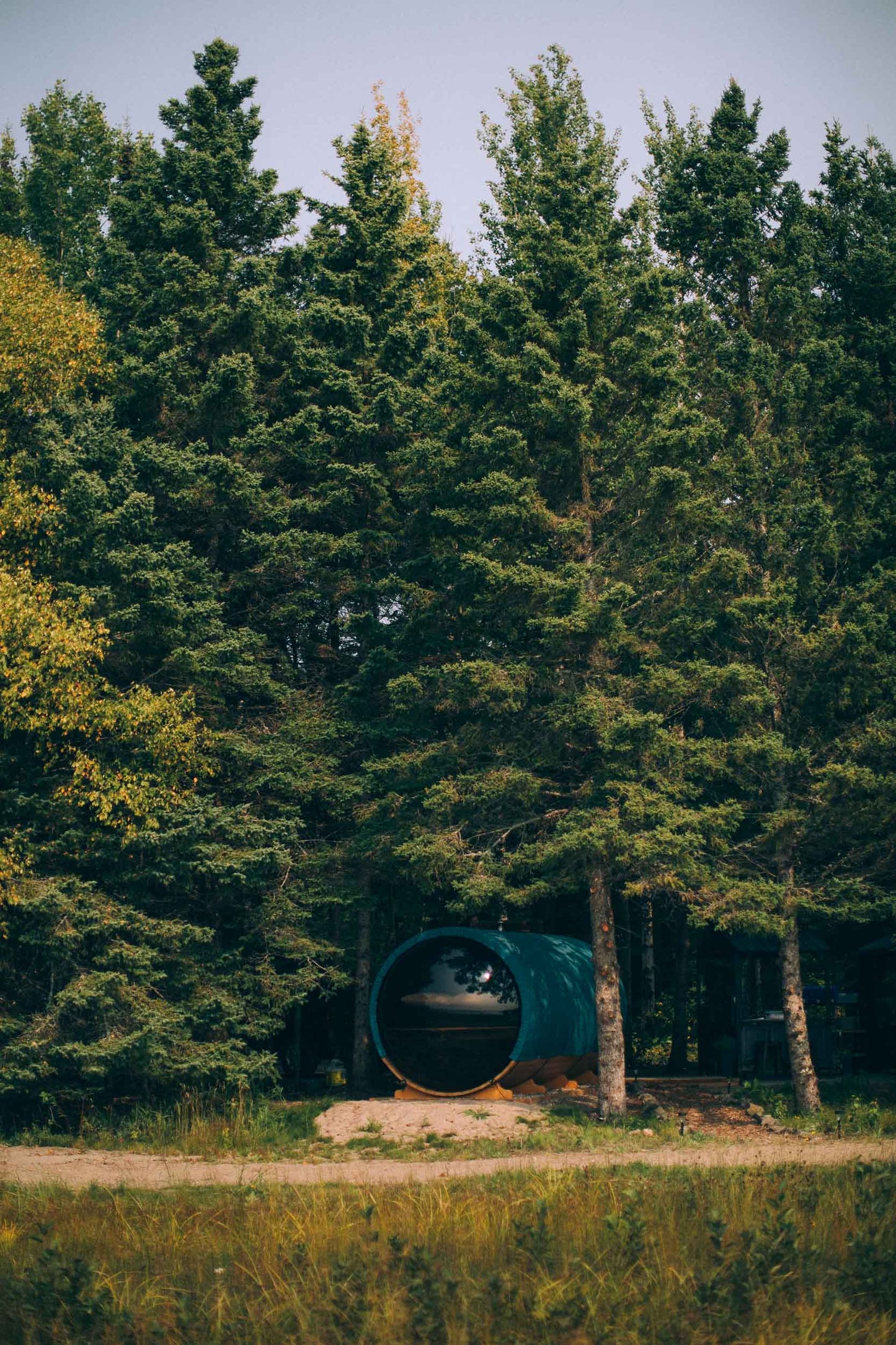 Forest Barrel (Gentle Reset)